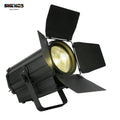 Ljojo™ 250W RGBW/WCW LED Par Light Fresnel Lens for Events & Studios