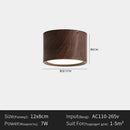 Ljojo Minimalist Cylinder LED Ceiling Light Modern Nordic Chandelier Hallway Kitchen Elegant Decor