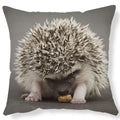 Ljojo Lovely Little Hedgehog Design Cushion Cover for 45*45cm Sofa Pillow