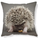 Ljojo Lovely Little Hedgehog Design Cushion Cover for 45*45cm Sofa Pillow