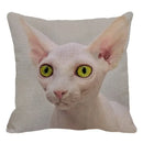 Cute Ljojo Sphinx Cat Cushion Cover 45X45cm - Home Sofa Decoration Pillowcase