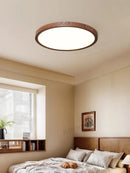 LED Ceiling Light Alexa Compatible Smart Minimalist Modern Living Room Bedroom Ljojo