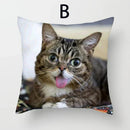 Cat Pattern Cushion Cover 45x45cm - Ideal Sofa & Home Decor Gift by Ljojo
