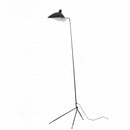 Retro Wabi-sabi Spider LED Floor Lamp for Living Room by Ljojo