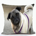 French Bulldog & Pug Dog Pillowcase by Ljojo - Decorative Animal Polyester Cushion Cover