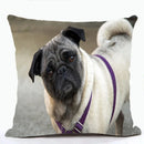 French Bulldog & Pug Dog Pillowcase by Ljojo - Decorative Animal Polyester Cushion Cover