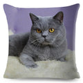 Cute Cat Print Fold Ear Pet Pillowcase for Cozy Home Decor by Ljojo