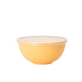 Ljojo 4pcs Bowl Set with Lid & Bento Box for Camping, Picnic, Kitchen Essentials