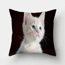 Cute Cat Print Cushion Cover for Sofa Decor by Ljojo