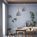 Nordic Small Pendant Lights Led Chandelier Macaron Color | Ljojo