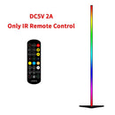 Ljojo™ Modern RGB LED Floor Lamp for Home Decoration