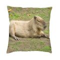 Capybara Nordic Cushion Cover by Ljojo - Home Decor Pillow Case