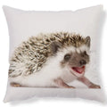 Ljojo Lovely Little Hedgehog Design Cushion Cover for 45*45cm Sofa Pillow