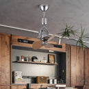 Ljojo 16 Inch Mini Dual Purpose Ceiling Fan for Living Room and Bar