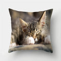 Cute Cat Print Cushion Cover for Sofa Decor by Ljojo