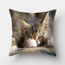 Cute Cat Print Cushion Cover for Sofa Decor by Ljojo