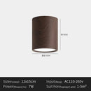Ljojo Minimalist Cylinder LED Ceiling Light Modern Nordic Chandelier Hallway Kitchen Elegant Decor