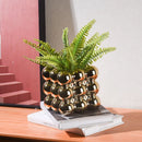 Ljojo™ Ceramic Succulent Plant Vase for Indoor Plants and Flowers