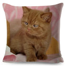 Cute Cat Print Fold Ear Pet Pillowcase for Cozy Home Decor by Ljojo