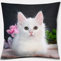 Cute Cat Series Pillowcase for Home Decor by Ljojo