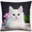 Cute Cat Series Pillowcase for Home Decor by Ljojo