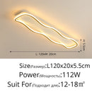 Ljojo Modern Minimalist Ceiling Light for Living Room Bedroom | Indoor Home Decor Fixture