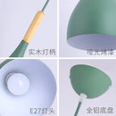 Nordic Small Pendant Lights Led Chandelier Macaron Color | Ljojo
