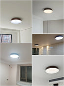 Ljojo LED Ceiling Light: Nordic Minimalist Remote Control Chandelier