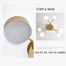 Ljojo LED Ceiling Light: Simple, Warm, Modern Lighting for Home and Restaurant
