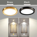 Ljojo LED Copper Ceiling Downlights: Ultra-Thin Round Panel Lamp for Kitchen, Bedroom, Stairway - 110V/220V