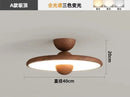 Nordic LED Ceiling Light Walnut Color Modern Indoor Lighting by Ljojo