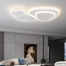 Ljojo Modern Acrylic Ceiling Lamps for Home Decoration, Indoor Lighting Fixtures.