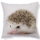 Ljojo Lovely Little Hedgehog Design Cushion Cover for 45*45cm Sofa Pillow