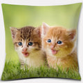 Cute Cat Series Pillowcase for Home Decor by Ljojo