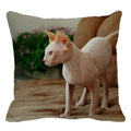 Cute Ljojo Sphinx Cat Cushion Cover 45X45cm - Home Sofa Decoration Pillowcase