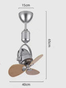 Ljojo 16 Inch Mini Dual Purpose Ceiling Fan for Living Room and Bar