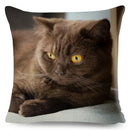 Cute Cat Print Fold Ear Pet Pillowcase for Cozy Home Decor by Ljojo