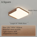 LED Ceiling Light Modern for Living Room Bedroom Kitchen Dining Ljojo Lighting Fixture