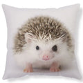 Ljojo Lovely Little Hedgehog Design Cushion Cover for 45*45cm Sofa Pillow