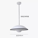 Acrylic Pendant Lamp Scandinavian Dining Room Chandelier by Ljojo
