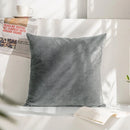 Light Gray Velvet Cushion Cover 45*45 - Ljojo Home Decor