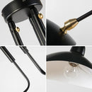 Nordic Designer Spider Pendant Light LED Chandelier for Living Room by Ljojo