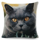 Cute Cat Print Fold Ear Pet Pillowcase for Cozy Home Decor by Ljojo