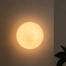 Ljojo Modern Art Glass Wall Lamp for Hotel Restaurant Living Room Decor