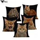 Fat Orange Cat Print Cushion Cover 45x45cm by Ljojo: Animal Pattern Home Decor Pillowcase