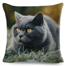 Cute Cat Print Fold Ear Pet Pillowcase for Cozy Home Decor by Ljojo