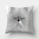 Cute Cat Print Cushion Cover for Sofa Decor by Ljojo