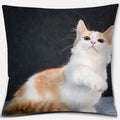 Cute Cat Series Pillowcase for Home Decor by Ljojo