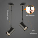 Ljojo Long Pole Telescopic LED Spot Light for Ceiling Mount in Shops & Galleries