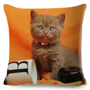 Cute Cat Print Fold Ear Pet Pillowcase for Cozy Home Decor by Ljojo